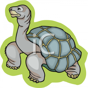 Reptile Clipart