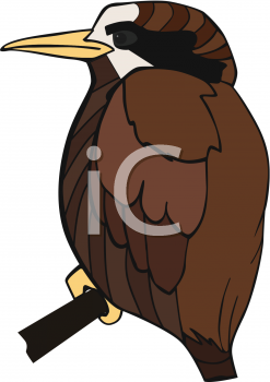 Bird Clipart