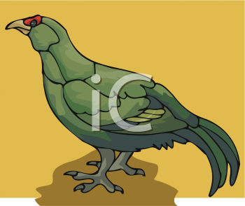 Bird Clipart