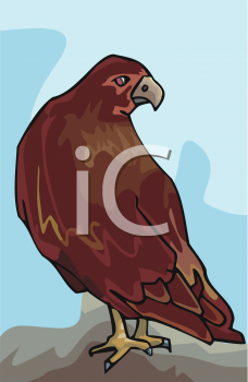 Bird Clipart