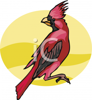 Bird Clipart