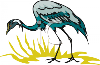 Bird Clipart