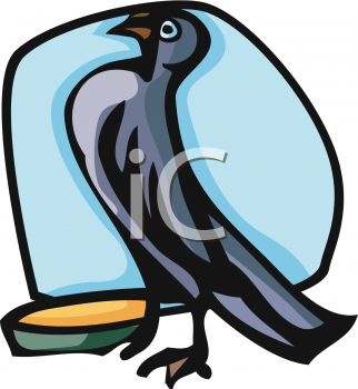 Bird Clipart