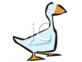 Bird Clipart