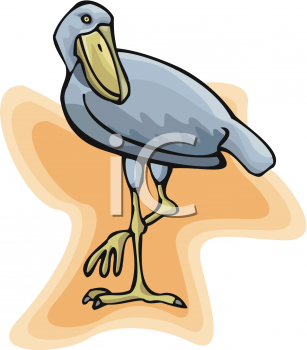 Bird Clipart