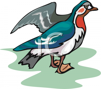 Bird Clipart