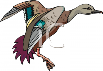 Bird Clipart