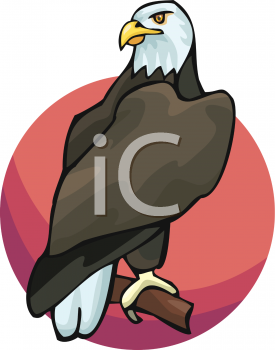 Bird Clipart