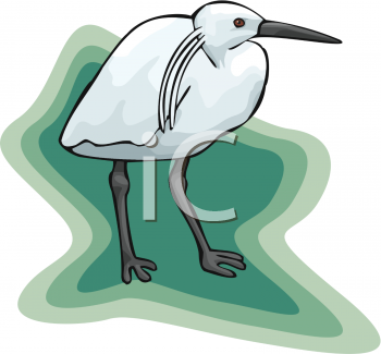 Bird Clipart