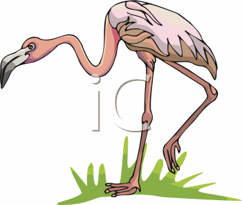 Bird Clipart