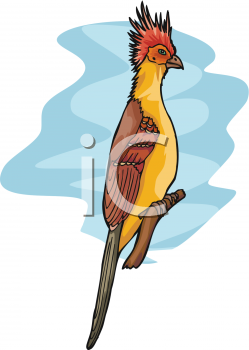 Bird Clipart