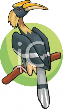 Bird Clipart