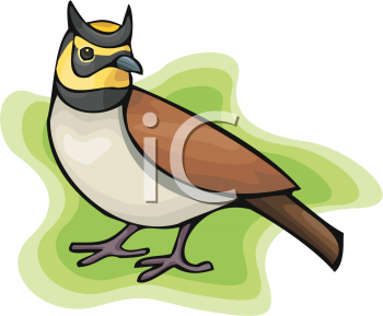 Bird Clipart