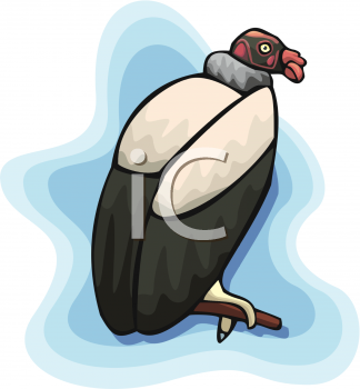 Bird Clipart