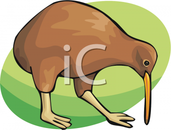 Bird Clipart