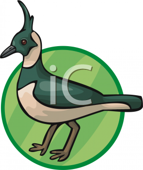 Bird Clipart