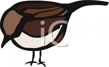 Bird Clipart