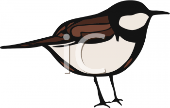 Bird Clipart