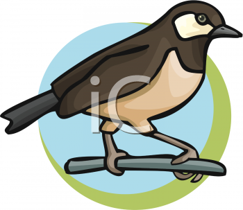 Bird Clipart