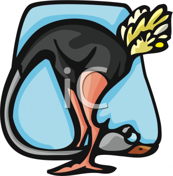 Bird Clipart