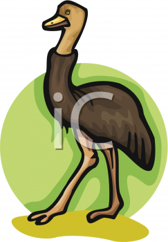 Bird Clipart