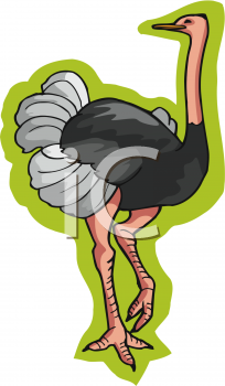 Bird Clipart