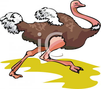 Bird Clipart