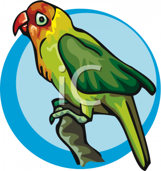 Bird Clipart