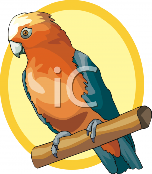 Bird Clipart