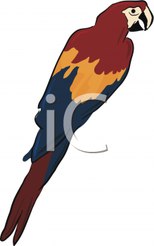 Bird Clipart