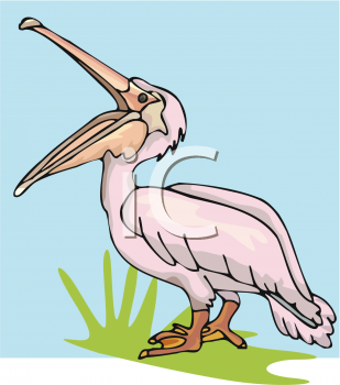 Bird Clipart