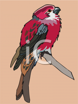 Bird Clipart