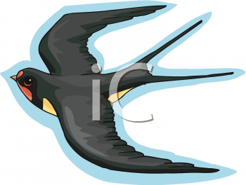 Bird Clipart