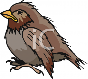 Bird Clipart