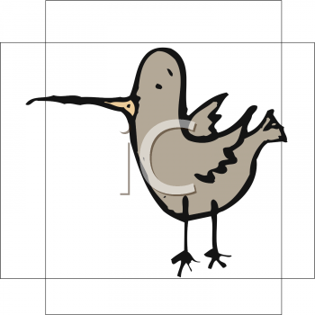 Bird Clipart