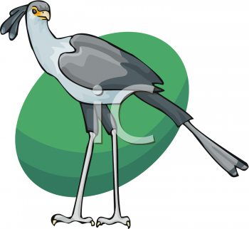 Bird Clipart