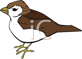 Bird Clipart