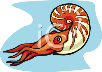 Fish and Sea Life Clipart