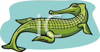 Reptile Clipart