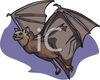 Mammal Clipart