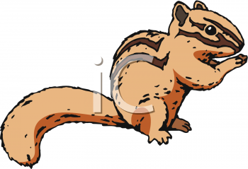 Rodent Clipart