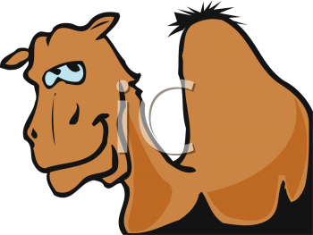 Camel Clipart