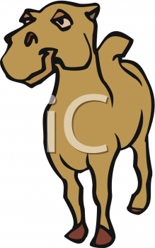 Camel Clipart