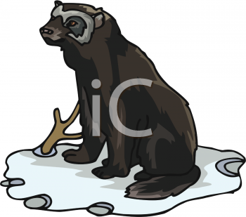 Mammal Clipart