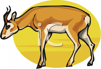 Antelope Clipart