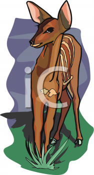 Deer Clipart