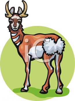 Antelope Clipart