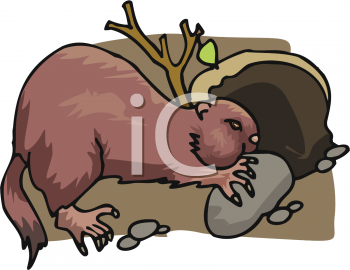 Farm Animal Clipart