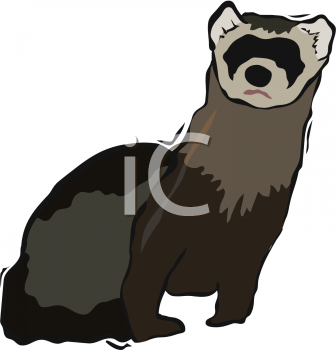 Mammal Clipart