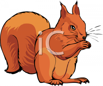 Rodent Clipart